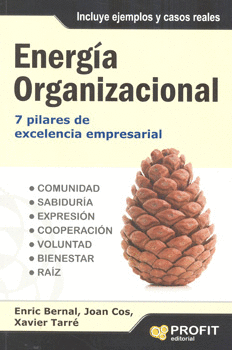 ENERGIA ORGANIZACIONAL