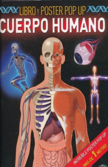 CUERPO HUMANO