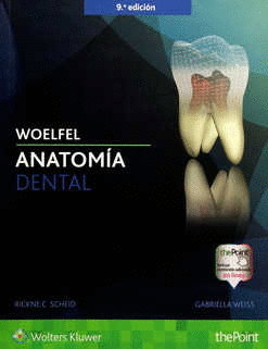 WOELFEL ANATOMIA DENTAL