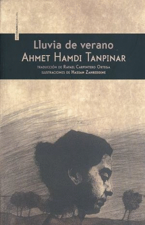 LLUVIA DE VERANO