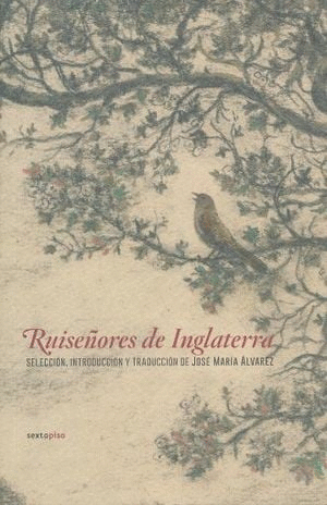RUISE�ORES DE INGLATERRA