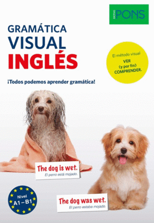 GRAMATICA VISUAL INGLES PONS