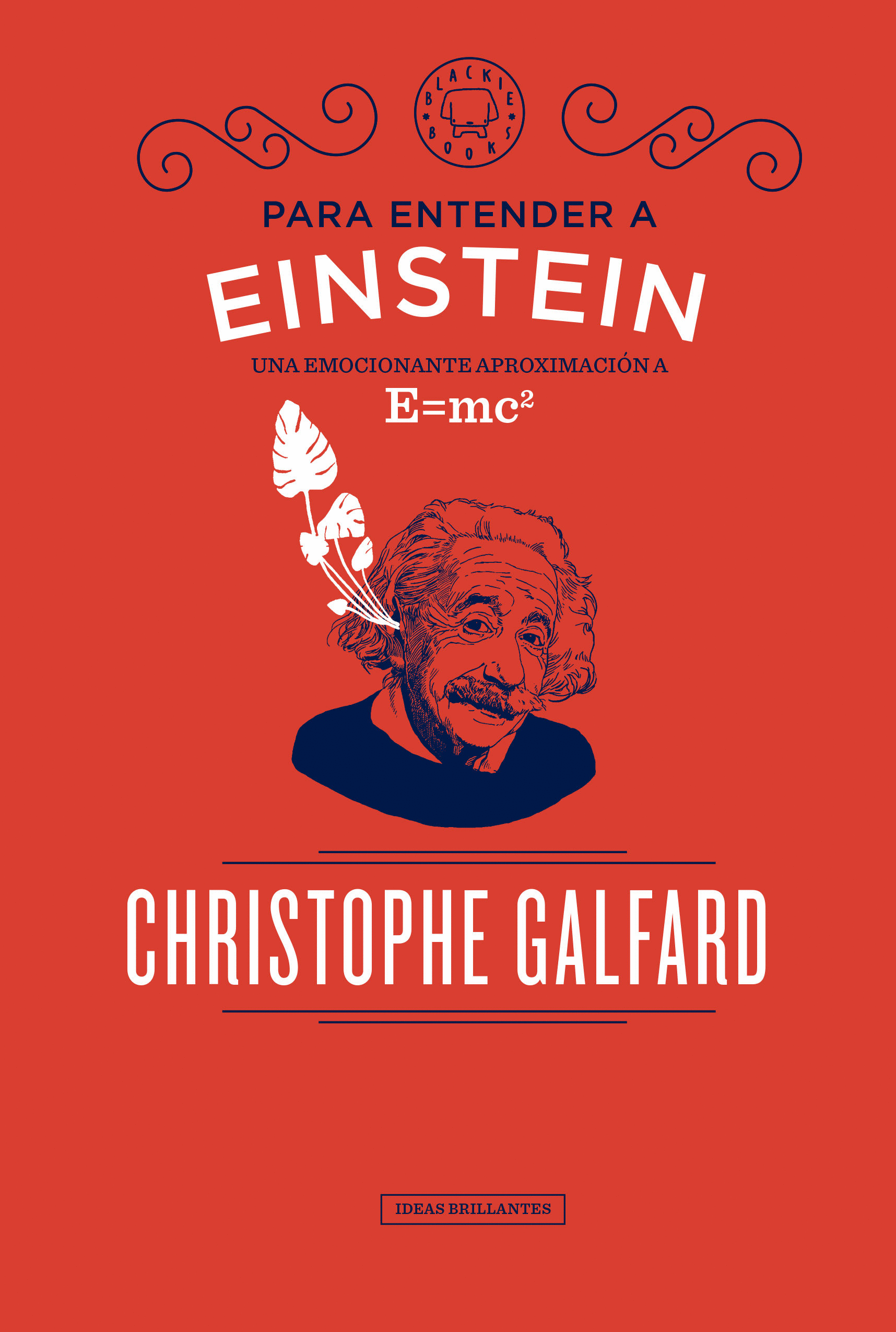 PARA ENTENDER A EINSTEINS
