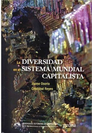 DIVERSIDAD EN EL SISTEMA MUNDIAL CAPITALISTA LA