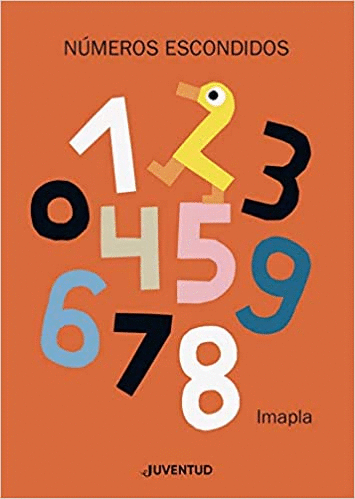 NUMEROS ESCONDIDOS