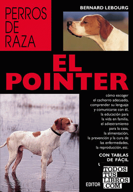 EL POINTER