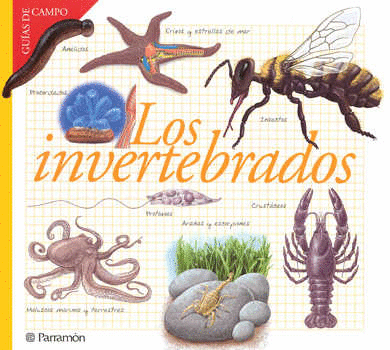 INVERTEBRADOS LOS