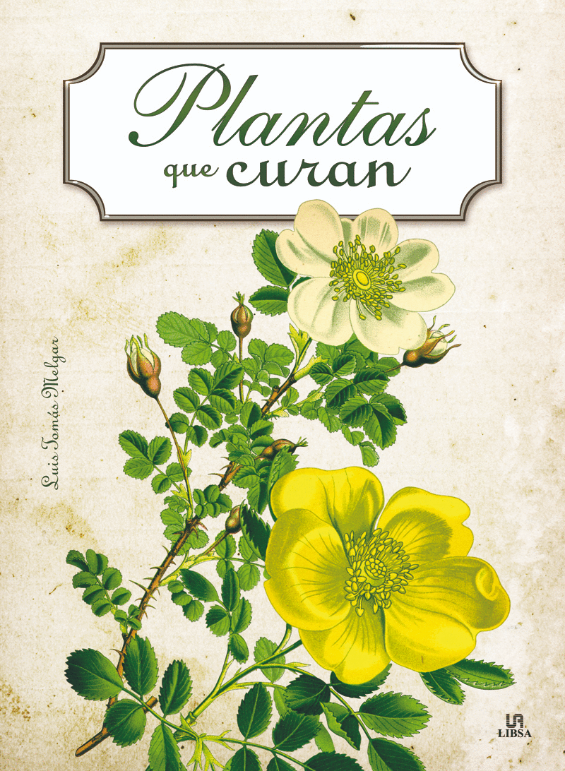 PLANTAS QUE CURAN