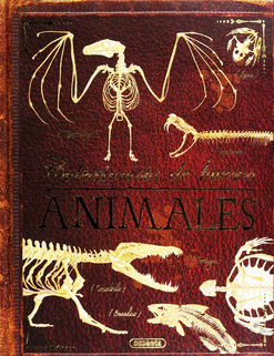 COLECCION DE HUESOS  ANIMALES (PASTA DURA)