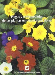 PLAGAS Y ENFERMEDADES DE LAS PLANTAS EN MACETA CON FLORES