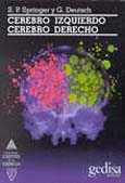 CEREBRO IZQUIERDO CEREBRO DERECHO