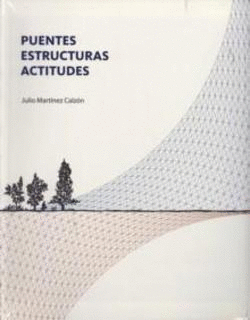 PUENTES ESTRUCTURAS ACTITUDES