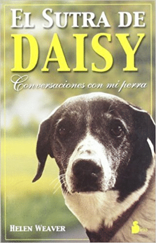 SUTRA DE DAYSY EL
