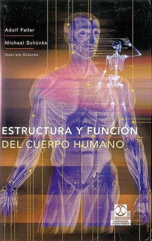 ESTRUCTURA Y FUNCION DEL CUERPO HUMANO