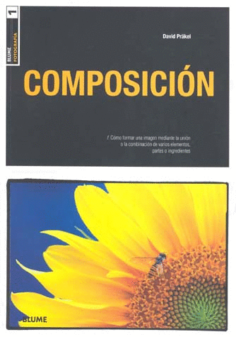 COMPOSICION
