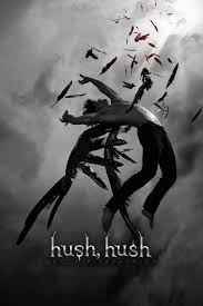 HUSH HUSH (BOSILLO PASTA DURA)