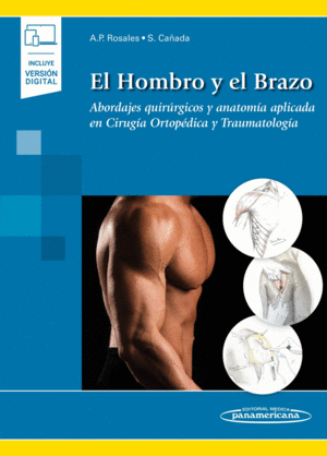 HOMBRO Y EL BRAZO EL