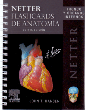 NETTER FLASHCARDS DE ANATOMIA TRONCO Y ORGANOS INTERNOS