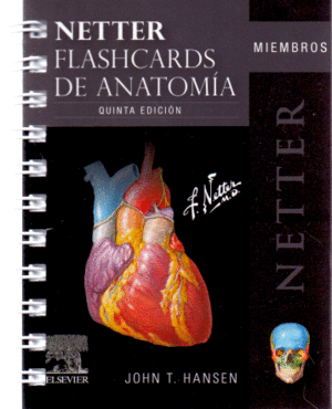 NETTER FLASHCARDS DE ANATOMIA MIEMBROS