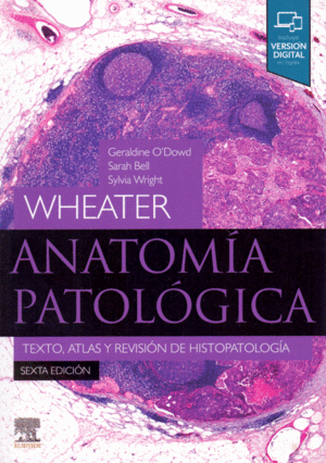 WHEATER ANATOMIA PATOLOGICA