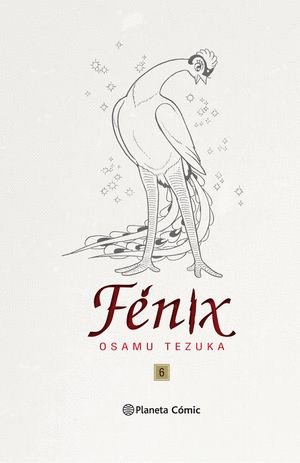 FENIX 6 PASTA DURA