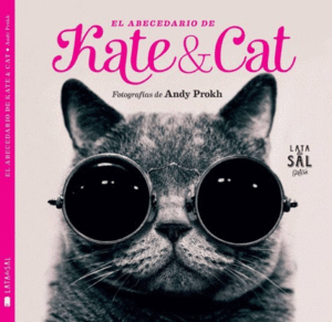 EL ABECEDARIO DE KATE AND CATE   PD