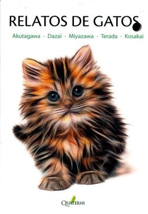RELATOS DE GATO