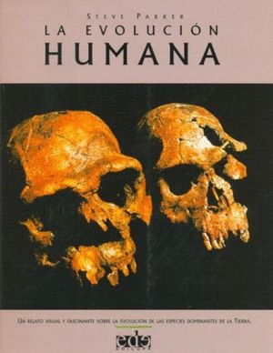 EVOLUCION HUMANA