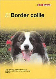 BORDER COLLIE EL