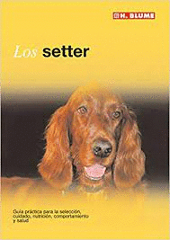 SETTER LOS