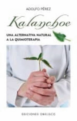 KALANCHOE