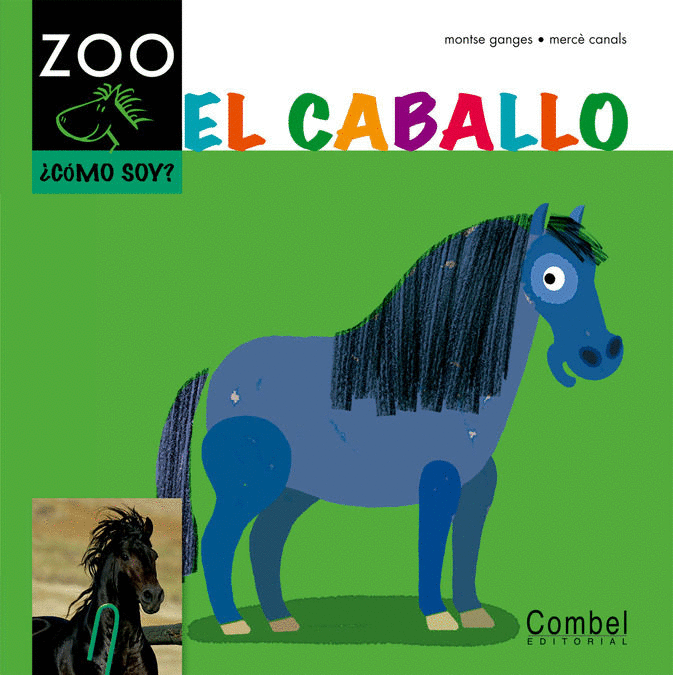 CABALLO EL (PASTA DURA)