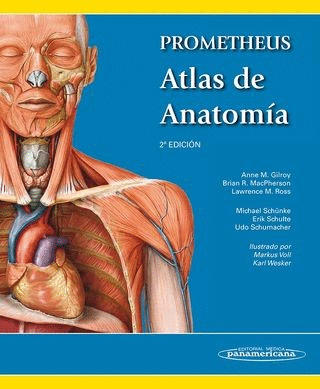 PROMETHEUS ATLAS DE ANATOMIA