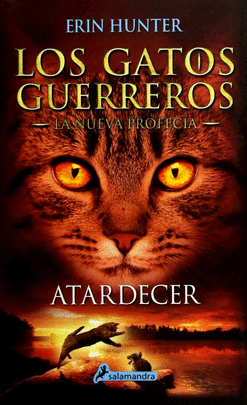 GATOS GUERREROS 6 ATARDECER