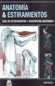 ANATOMIA Y ESTIRAMIENTOS