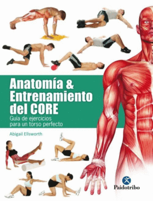 ANATOMIA Y ENTRENAMIENTO DEL CORE
