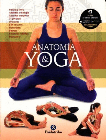 ANATOMIA Y YOGA
