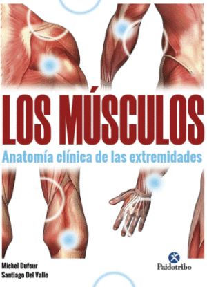 MUSCULOS LOS