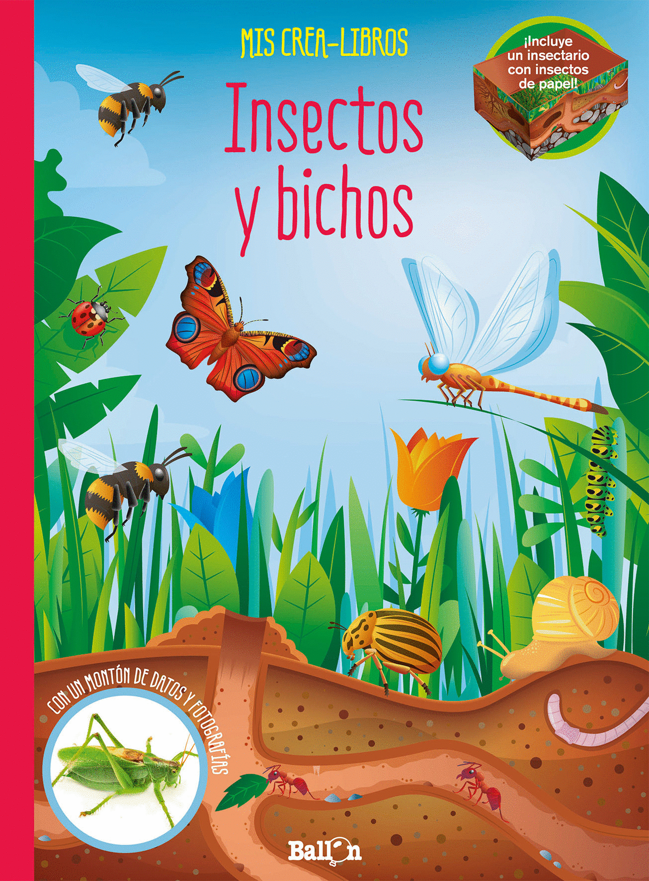 INSECTOS Y BICHOS