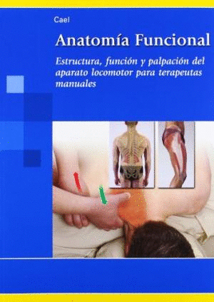 ANATOMIA FUNCIONAL