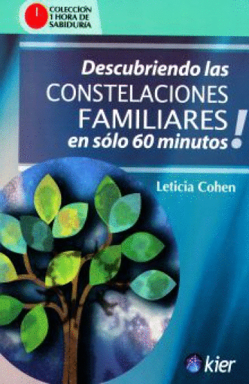 DESCUBRIENDO LAS CONSTELACIONES FAMILIARES EN SOLO 60 MINUTOS