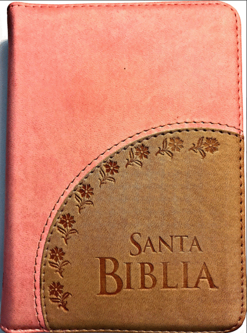 SANTA BIBLIA REINA VALERA 1960 ROSA ESTUCHE CON CIERRE