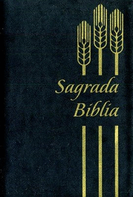 SAGRADA BIBLIA DIOS HABLA HOY NEGRO CON CIERRE