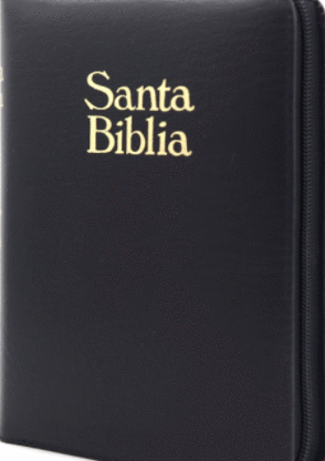 SANTA BIBLIA REINA VALERA 1960 NEGRO CON CIERRE LETRA GRANDE
