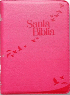 SANTA BIBLIA REINA VALERA 1960 LETRA GIGANTE ROSA CON CIERRE