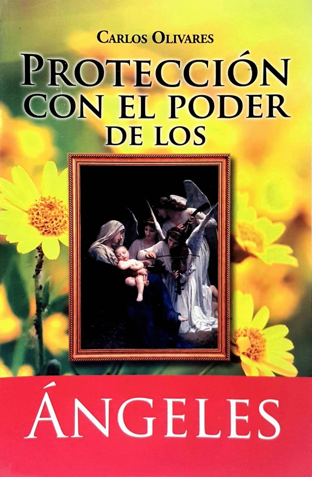 PROTECCION CON EL PODER DE LOS ANGELES