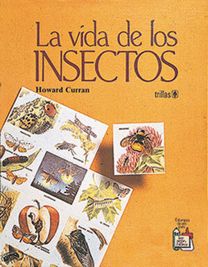 VIDA DE LOS INSECTOS LA