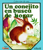 UN CONEJITO EN BUSCA DE HOGAR