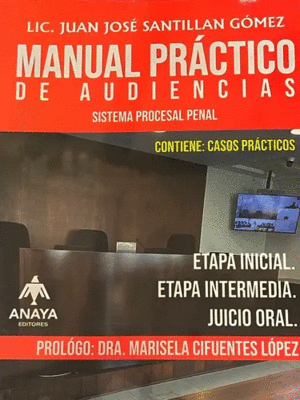 MANUAL PRACTICO DE AUDIENCIAS