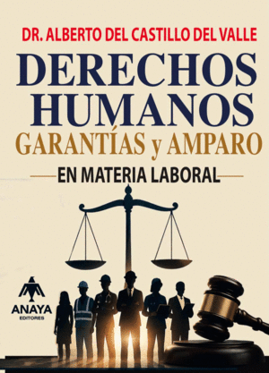 DERECHOS HUMANOS. GARANTIAS Y AMPARO EN MATERIA LABORAL